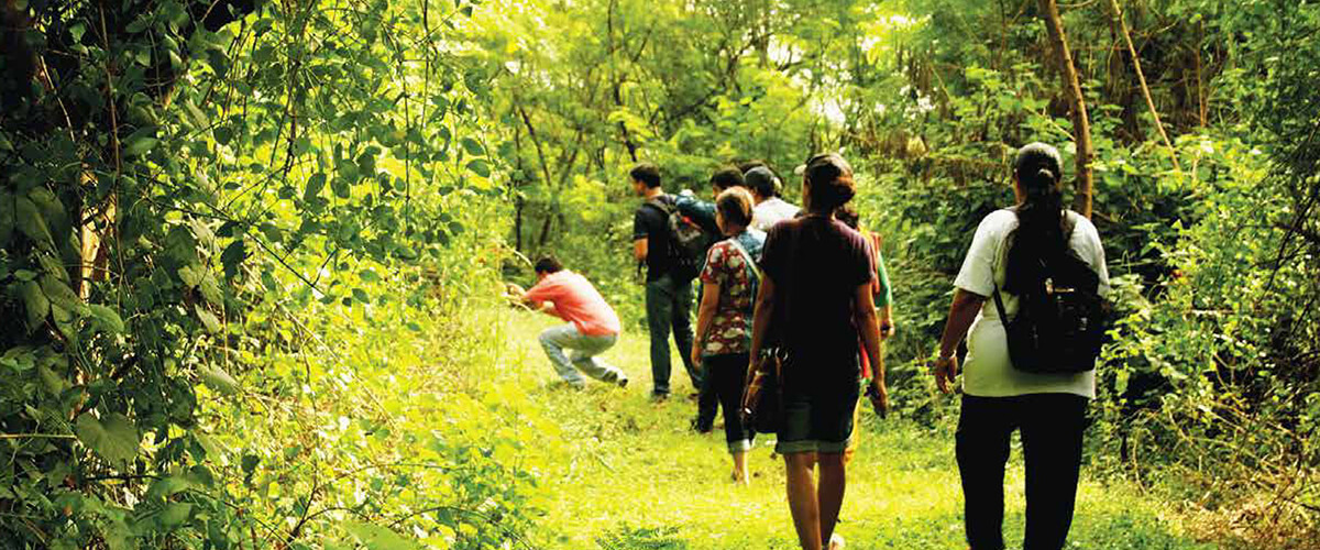 Nature Trail